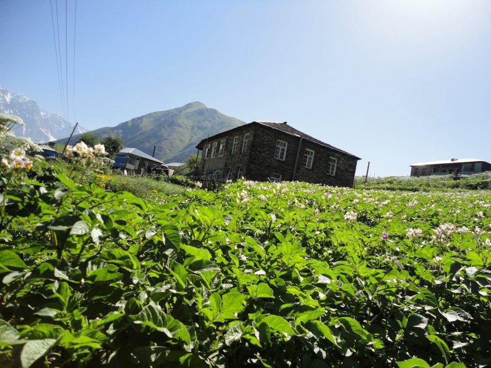 Caucasus Guesthouse Ushguli Εξωτερικό φωτογραφία